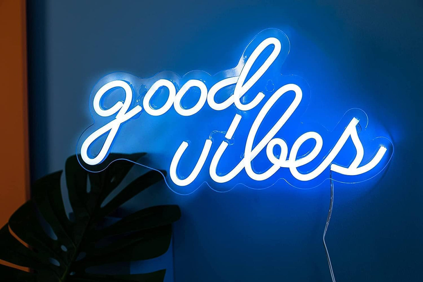 Neon Wall Sign for Room Decor